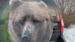 WhatsApp Image 2021-03-16 at 19.07.38