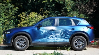 Лев в облаках на mazda